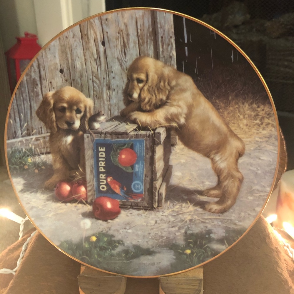 Decorative dog plate